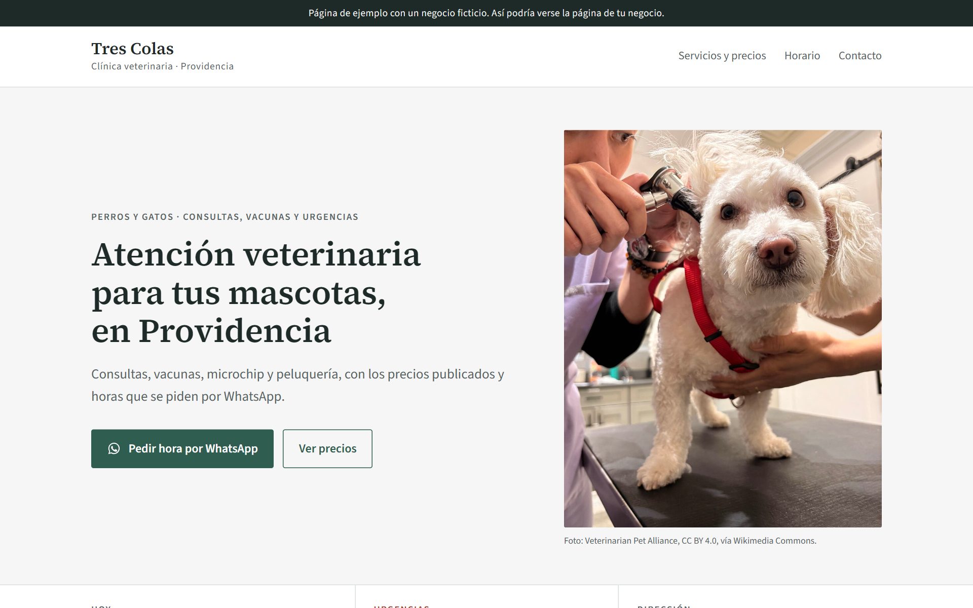 Portada de la página de ejemplo de la Veterinaria Tres Colas en un computador: titular, botón para pedir hora por WhatsApp y foto de un perro en consulta.